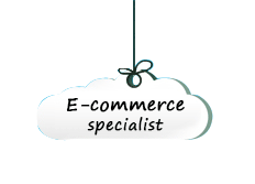 ecommerce specialist